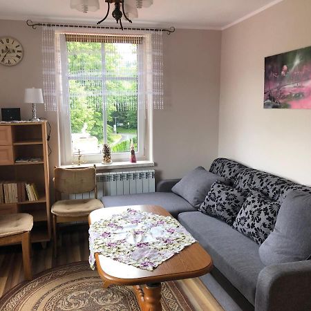 Apartament "U Oli" Льондек-Здруй Екстер'єр фото